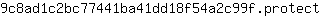 9***t