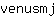 v***j