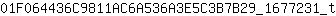 0***t