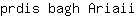 p***i