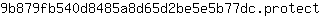 9***t