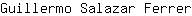 G***r