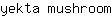 y***m