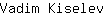 V***v
