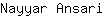 N***i