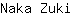 N***i