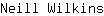 N***s