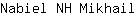 N***l