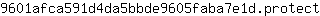 9***t