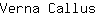V***s