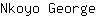 N***e