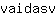 v***v