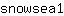 s***1