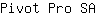P***A