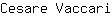 C***i