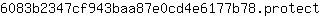 6***t