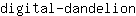 d***n