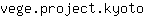 v***o