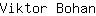 V***n