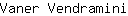 V***i