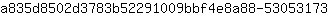 a***3