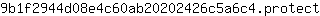 9***t