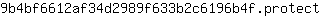 9***t