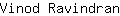 V***n