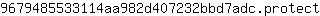 9***t