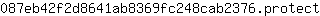 0***t