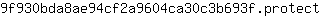 9***t
