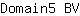D***V