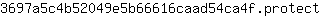 3***t