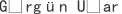 G***r