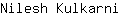 N***i