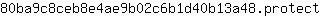 8***t