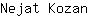 N***n