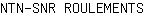 N***S