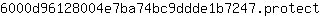 6***t