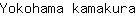 Y***a