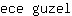 e***l