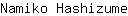 N***e