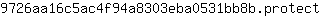 9***t