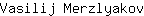 V***v