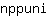 n***i
