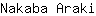 N***i