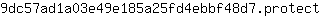 9***t