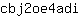 c***i