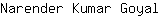 N***l