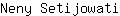 N***i